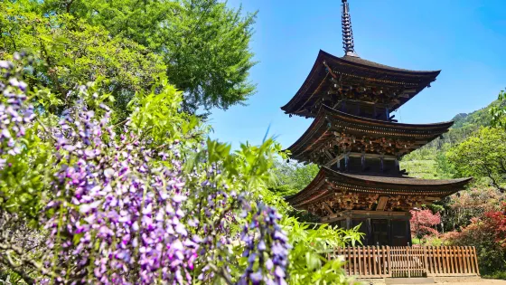 前山寺