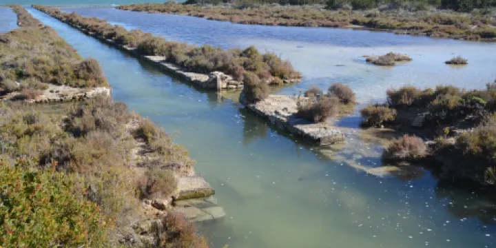 Parque Natural de Ses Salines