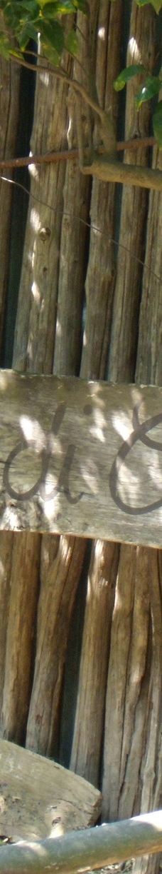 I Giardini di Cataldo-索伦托