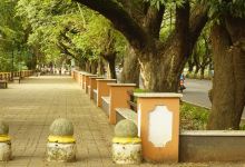 Panaji Kala Academy景点图片