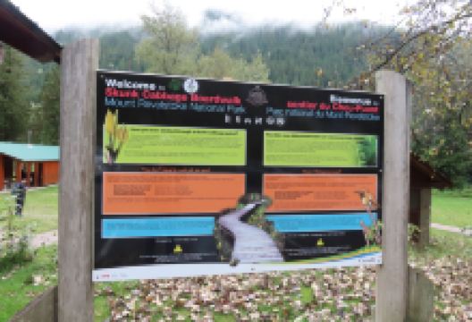 Skunk Cabbage Boardwalk景点图片