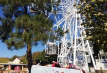 Amusement Park景点图片