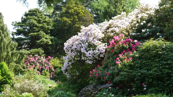 Cruickshank Botanic Garden