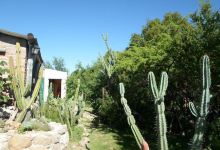 Museo Comechingon景点图片