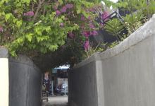 Senggigi Art Market景点图片