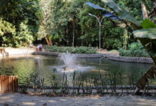 尼泰罗伊植物园景点图片