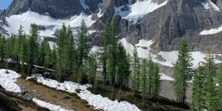 庫特尼國家公園