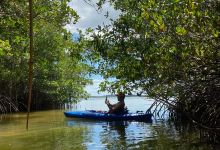 Ulumay Wildlife Sanctuary景点图片