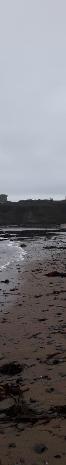 Baginbun Beach-韦斯福德