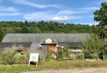 Indian Head Farm景点图片