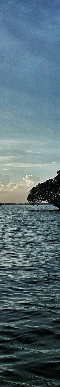 Hakaluki Haor-巴尔勒卡乌帕齐拉