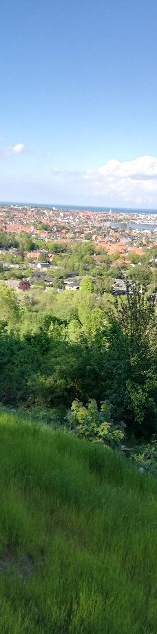 Pikkerbakken-腓特烈港