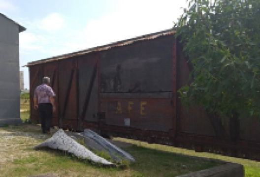 Museo De La Paloma景点图片