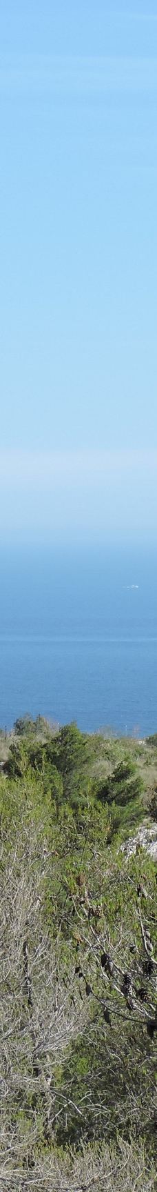 Fuente del Esparto-内尔哈