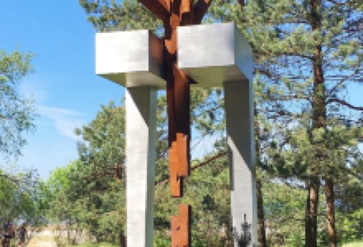 Pine trees of Rainis景点图片