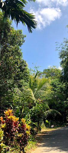 Ton Pring Waterfall-泰孟