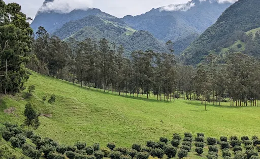 Cascadas de Cocora