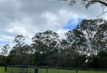 Dog Park off leash景点图片