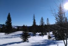 Forêt du Massacre景点图片