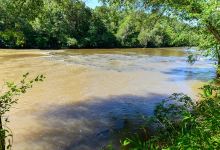Broad River Wildlife Management Area景点图片