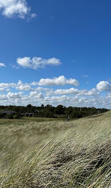 Lyngså Strand-赛比