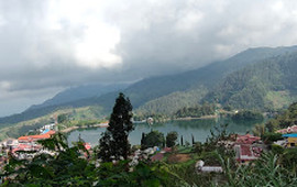 Taman Labirin