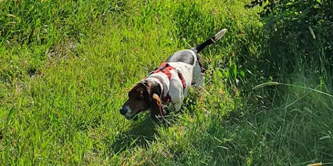 Luton Valley Bird Sanctuary