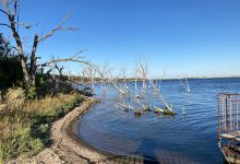 Stump Lake Park景点图片