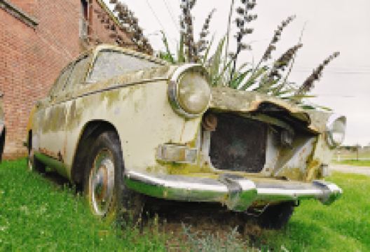 Morven Domain景点图片