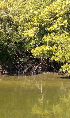 North Causeway (West Side)-新士麦那海滩