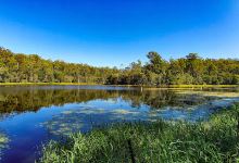 Enoggera Reservoir景点图片