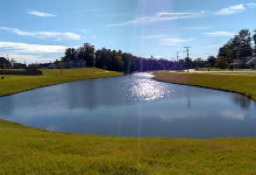 Pioneer Park景点图片