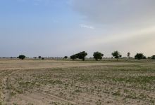 Thal Desert Adventures景点图片