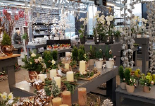 Grün erleben Fleur Gartencenter Ganderkesee购物图片