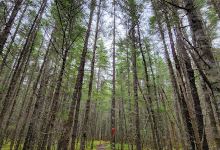 Five Fathom Hole Trailhead景点图片