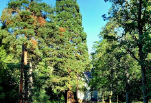 Promenade Paul Déroulède景点图片