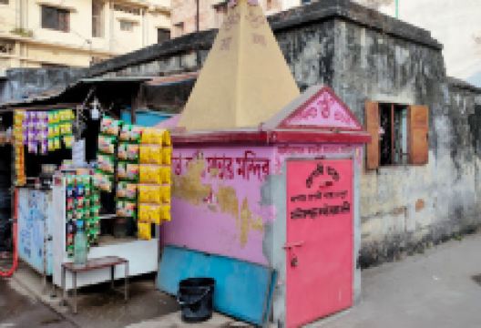 Master Para Kali Mata Temple景点图片