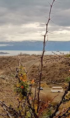 Cañadon Del Arroyo Calafate-阿根廷湖县