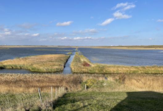 Kalvebod Fælled景点图片