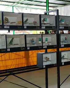 Taman Cerry Glompong-East Bandar Jaya