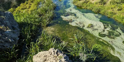 Piccaninnie Ponds Conservation Park