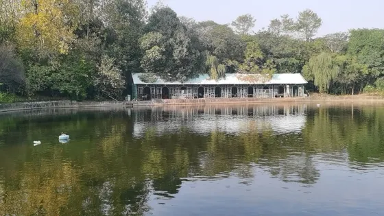 玉龍休閑島