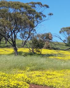 Pelham Lookout & Reserve-图吉