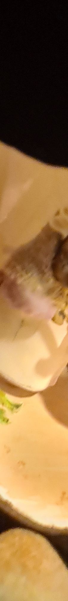 彼得兔世界-鲍内斯温德米尔