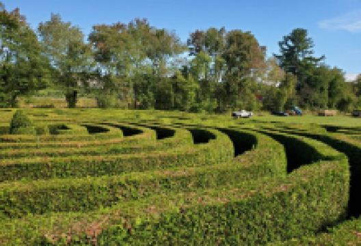 Honey Pot Hill Orchards景点图片