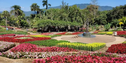 Mae Fah Luang Garden
