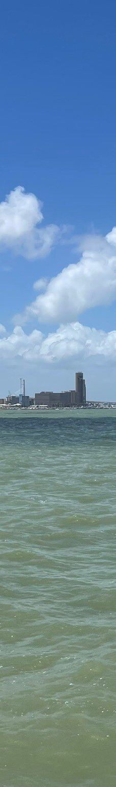 Cole Park-科珀斯克里斯蒂