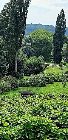 迈瑙岛-康斯坦茨