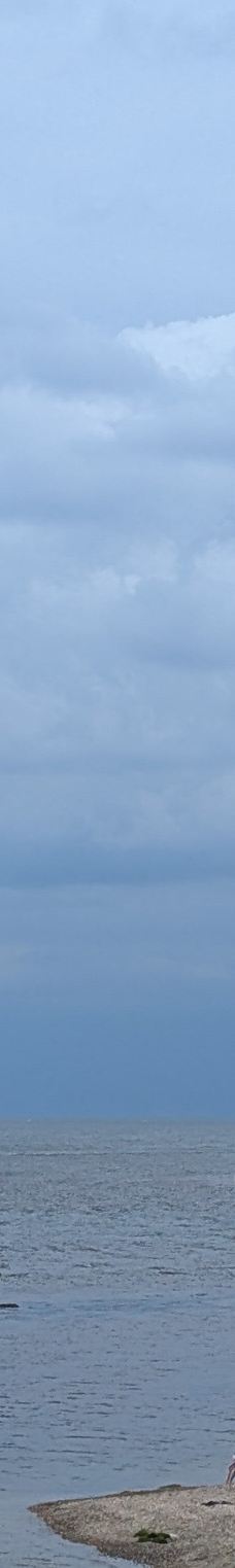 雨晴海岸-高冈市