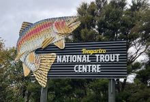 Tongariro National Trout Centre景点图片